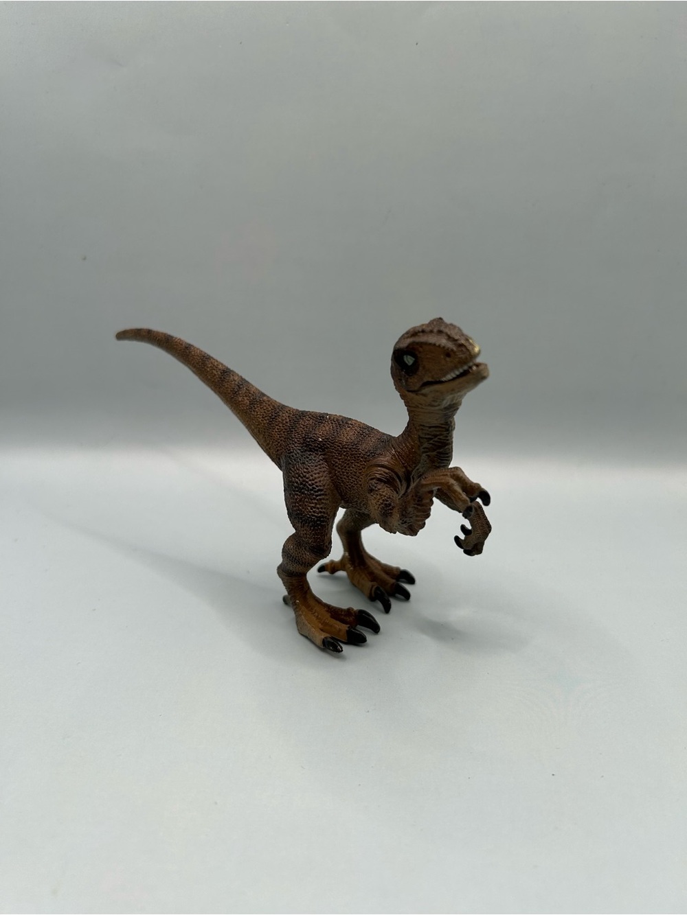 Jurassic Prehistoric Velociraptor dinosaur toy figure Dino with textured striped